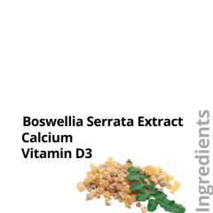 image-slider-with-thumbnail4.jpeg